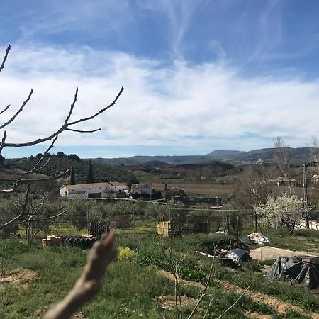 Ribera Baja  El Asno Azul旅馆 外观 照片