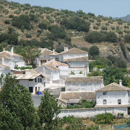Ribera Baja  El Asno Azul旅馆 外观 照片