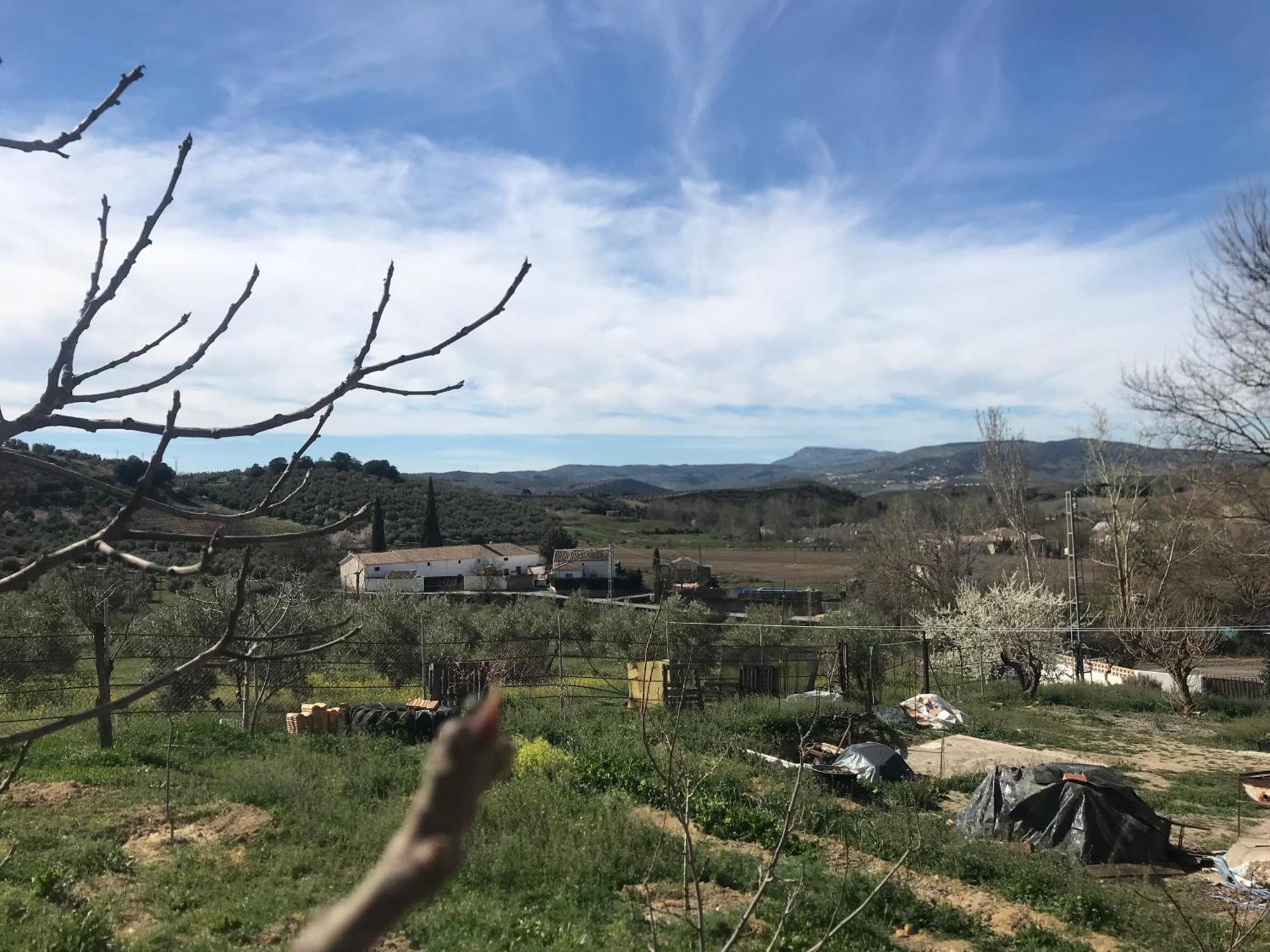 Ribera Baja  El Asno Azul旅馆 外观 照片
